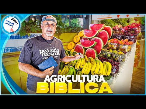 ¡Milagro! La Biblia cobra vida en los campos de Israel