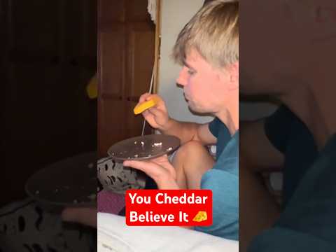 You Cheddar Believe It 🧀 (via: espritjaye/TT)