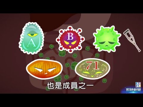 【台灣壹週刊】腸病毒大家族 - YouTube(1分31秒)