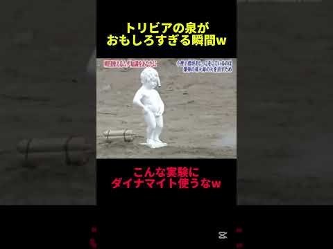 またテレビで見たいなw #面白い #shorts #tiktok #おもしろ #トリビアの泉 #バズれ #切り抜き