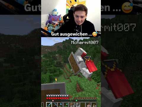 Gut ausgewichen... 😅 Niki sei mal ein guter F... Navigator 😂 #fyp #viral #minecraft #server #online