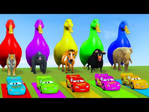 Long Slide Game With Cow Elephant Gorilla Hippopotamus Tiger - 3d Animal Game - Funny 3d Animals