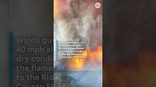 California wildfires prompt evacuations on West Coast #Shorts