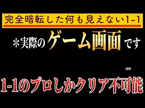 目隠しと同じ状態でプレイする1-1がマジで鬼畜すぎた・・・。【マリオメーカー2/マリメ2】