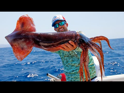 Fishing for Huge Squid in Italy