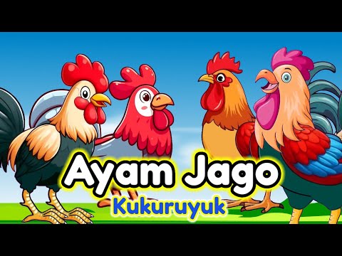 Lagu Anak 🇮🇩 Kuku Kukuruyuk - Lagu Ayam Jago - Ayam Berkokok  - Lagu Anak Indonesia Terbaru