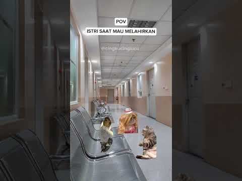 Endingnya 😭😭🤣 #kucing #kucinglucu #meme #cat #cingkucinglucu #shortvideo #shorts #pov #catlover