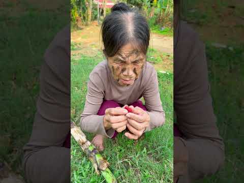 thông điệp bạn muấn chuyền tải chăm cây ắt có ngày hái quả ngọt người nghèo vô gia cư kẹo?#shortsfee