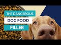 Dog Food Composition and Carbohydrates