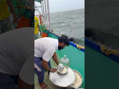Tasty lunch on boat 🤤 #thenkadalmeenavan #shorts