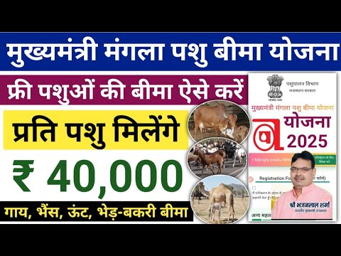 राजस्थान मंगला पशु बीमा योजना | पशु की मृत्यु पर रु 40000 मिलेंगे | CM Mangla Pashu Bima Yojana 2025