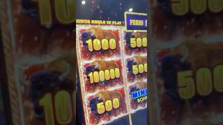 ENTIRE #Casino Heard Her SCREAM!!!!! #gambling #slot #jackpot #winner
