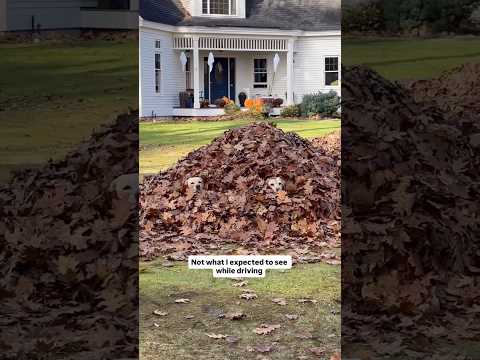 What is even happening?