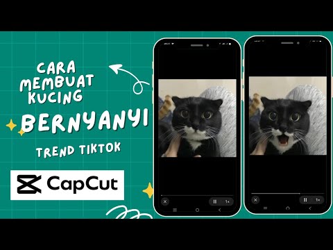 Cara membuat kucing lipsing benyanyi lip sync bernyanyi capcut tutorial