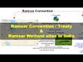 Wetlands and Their Importance
