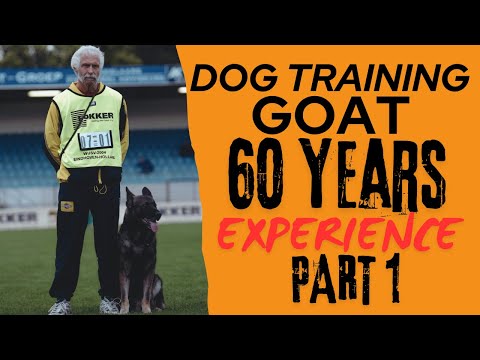 DOG TRAINER? WATCH THIS!! Helmut Reiser German GOAT dog training Schutzhund Protection dog K9