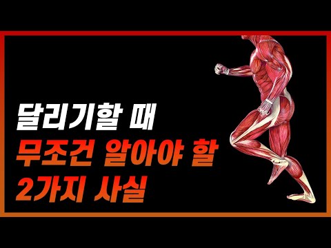 달리기할 때 반드시 알아야 할 2가지 사실 + 러닝크루 운동의 진실