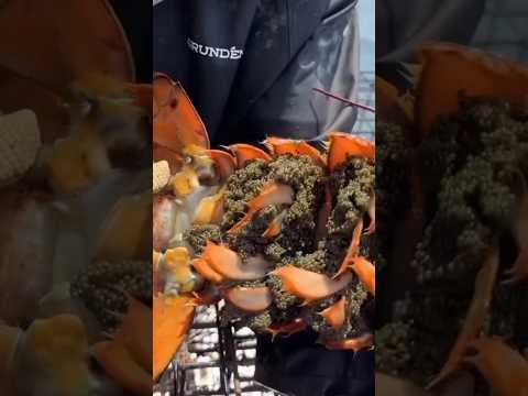 KENAPA MALAH DILEPAS LAGI 🤦 #short #nelayan #lobster