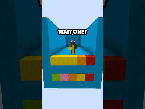 Can HE Guess the Minecraft Colors?