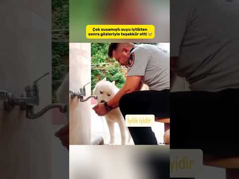 Bir Yudum Merhamet, Bir Ömre Bedel!