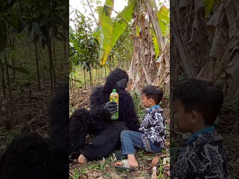Kind boy helps fainted gorilla #hacks #kindboy #kindness #gorilla