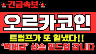 [오르카코인] 트럼프가 또 일냈다!! '역대급' 상승 빌드업 갑니다!!