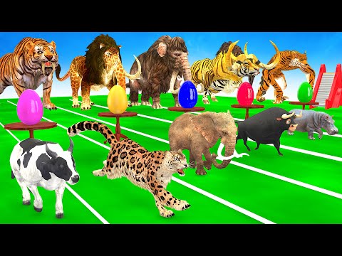 ANIMAL RACE Elephant,Cow, Lion, Tiger, Cheetah, T-rex, COW Planet Zoo Race Animal Running Race