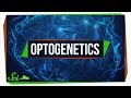 Optogenetics: Controlling Cells with Light