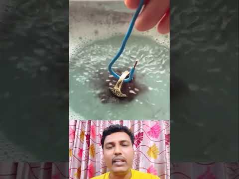Pure gold #funny #comedymove #comedyfilms #interestingclips #comedymovies #duet #funnycomedy #autom