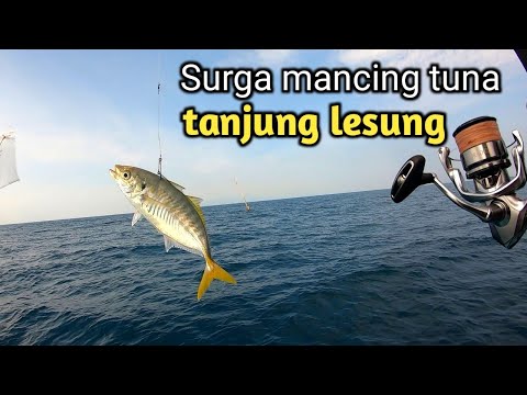 ngeri!! umpan sebesar ini baru lempar langsung di telan