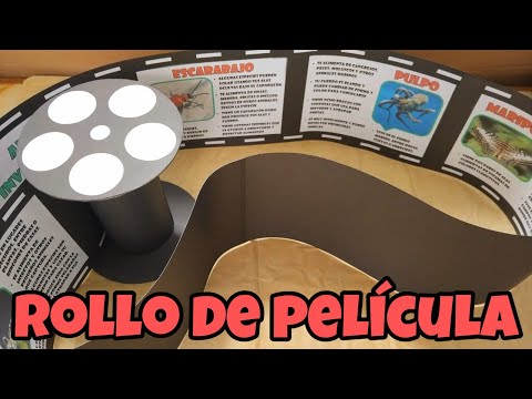 ROLLO de PELÍCULA (Gigante) / Photo Reel