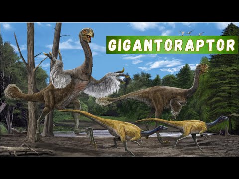 UM TEMIDO DINOSSAURO CHAMADO GIGANTORAPTOR! UM ANIMAL PRÉ-HISTÓRICO INCRÍVIVEL! VOCÊ CONHECE?