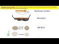 River Erosion and Transportation Processes
