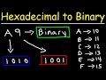 Hexadecimal and Binary Conversions