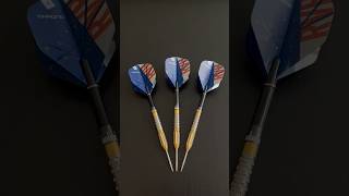 Target Raymond van Barneveld Chrono’s review! 🎯🐅 #darts #dartsreviews #targetdarts