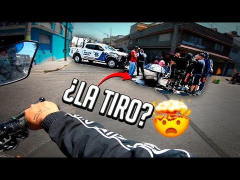 LA AVIENTA LA PATRULLA Y TERMINA MAL😰//OBSERVACIONES DIARIAS #7 🦖// SE PELEAN A M*3RT3☠️