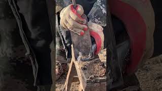 To give a donkey a pedicure, the master put it on the bench and cut it directly with a big spatula!