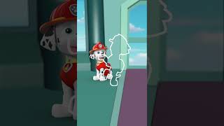 Pups Outline Challenge! #short