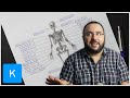 Skeletal System Knowledge Assessment