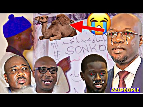 Urgent : Très mauvaise nouvelle pour Sonko et Diomaye.. Terribles révélations sur Farba Barthélémy