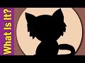Animal Sequence and Identification