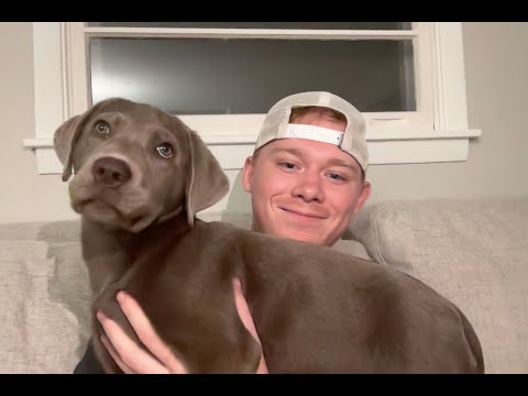 ASMR but it's so random I don't know what to call the video (No talking)
