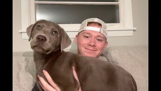 ASMR but it's so random I don't know what to call the video (No talking)