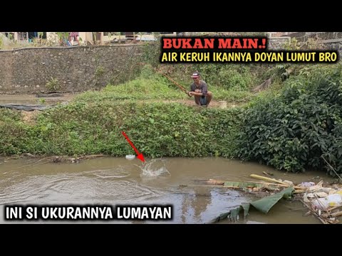 GAK NYANGKA.!! MANCING NILEM DI SUNGAI KECIL || PAKAI UMPAN LUMUT IKAN TAWES UKURAN LUMAYAN NYAMBAR