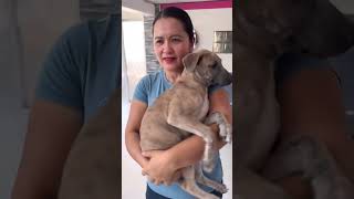  Bakit daw nman ikinulong ang mga puppies