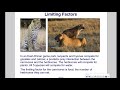 Ecosystem Dynamics and Population Factors