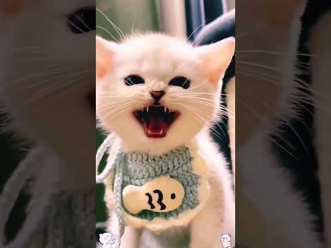 Cute baby kittens sound 🤪🙈❤️ #shorts