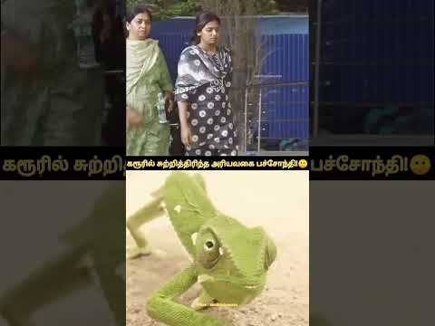 வைஷு மா!😲 | vaishnavi dmk | #கரூர்  #tvkvijay #karurstampede #senthilbalaji #vaishnavidmk