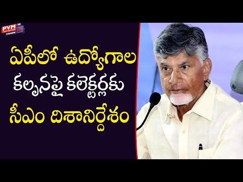 ఏపీలో ఉద్యోగాల కల్పనపై కలెక్టర్లకు సీఎం దిశానిర్దేశం | PVM Media