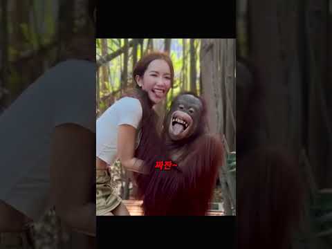 황당한 행동의 충격적인 반전
